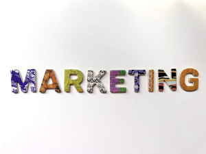 In-House vs. Agency Marketing: What You Need To Know